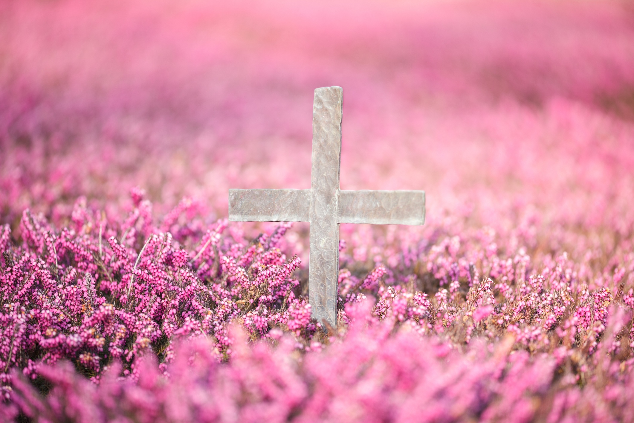 Feuerbestattung mit Grabplatz in Gelsenkirchen